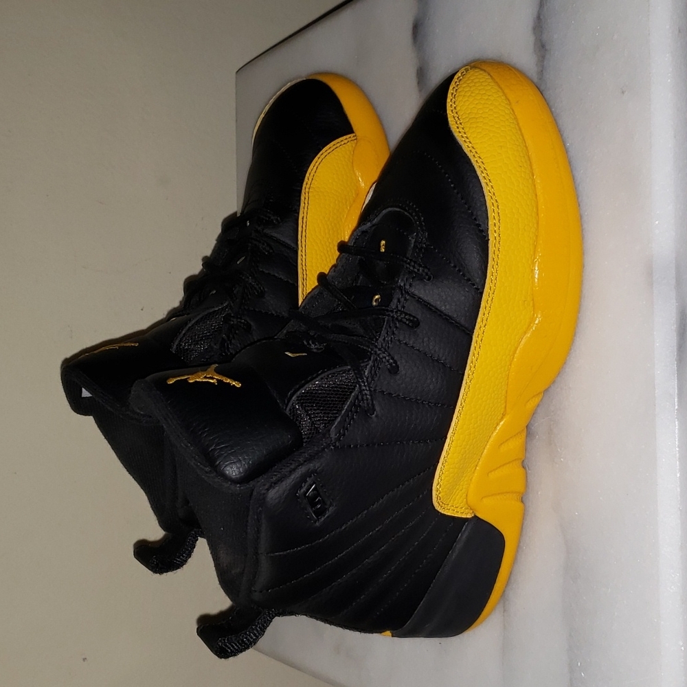 Air Jordan Retro 12